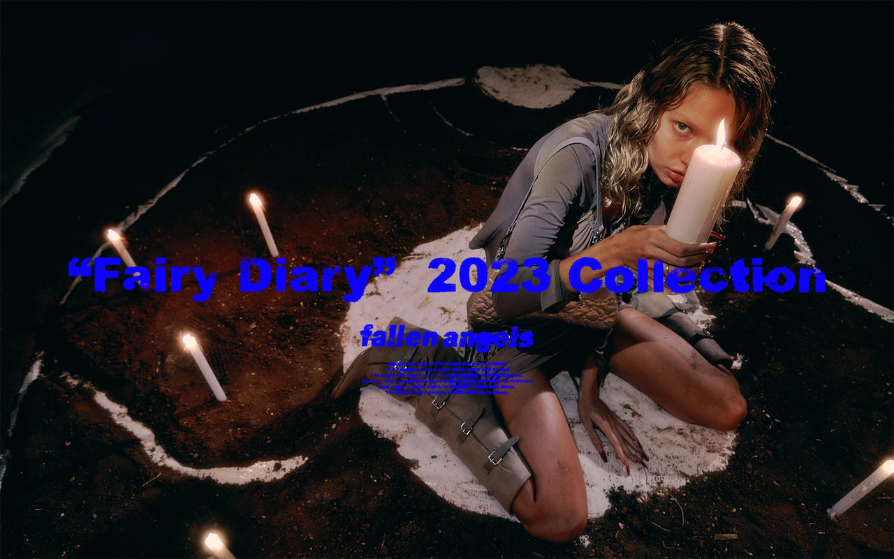 FAIRY DIARY